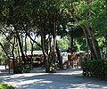 Camping Pineta Pisa