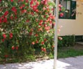 Camping Torre Pendente Pise