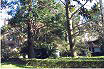 Botanical Garden in Pisa